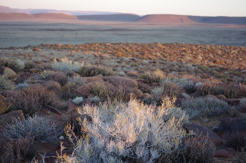 0 Bedroom Property for Sale in Calvinia Rural Northern Cape